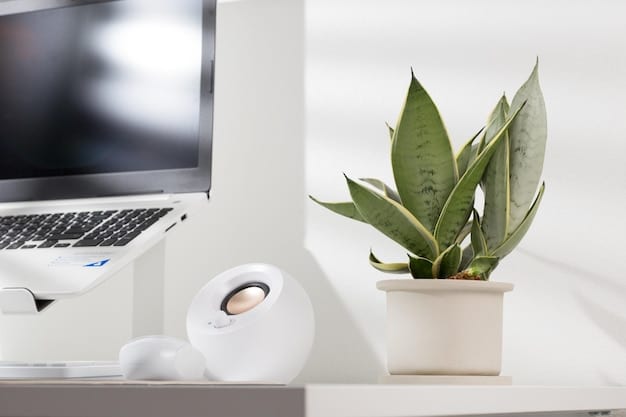 Transform Your Workspace: 8 Desk Organisation Hacks for Increased Focus