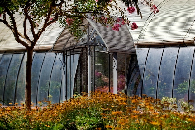Build a Conservatory: Add Light and Space to Your Home